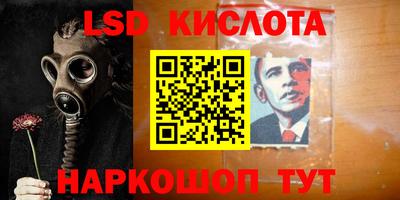 амф Можга