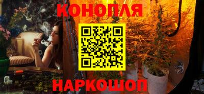 амф Можга