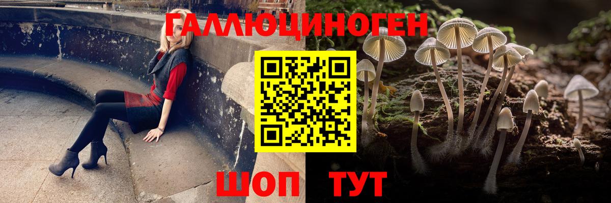 Псилоцибиновые грибы мицелий Донской