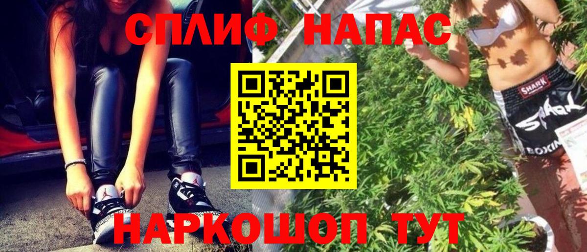 Каннабис ГИДРОПОН Донской